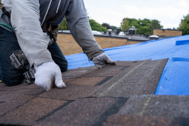 Professional Roofing Contractor in Bald Kno, AR